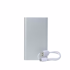 Power Bank 10000mAh with Dual Output